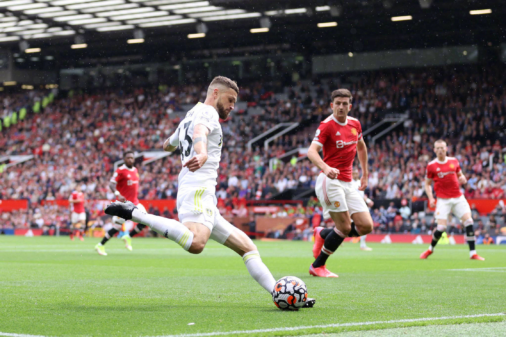 他一种归属 他一种归属